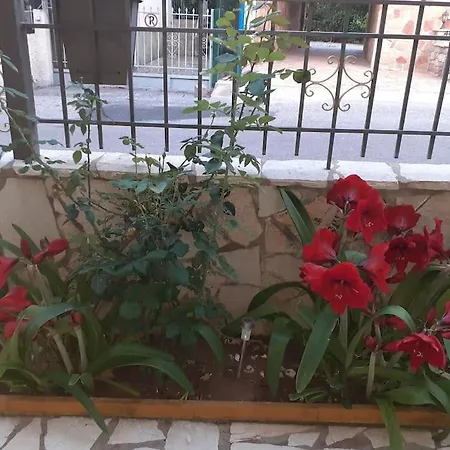 Maria's House * דיאקופטו